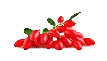 Rebersa® (berberin kivonat)