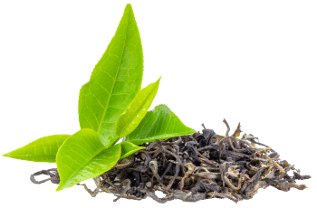 Zöld tea
