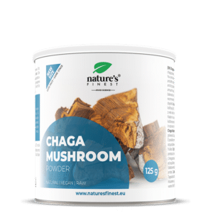 Chaga gomba por