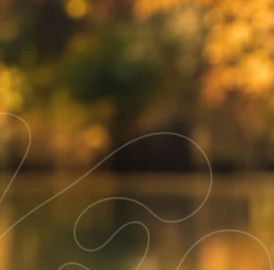 Autumn must haves offer-hp-3